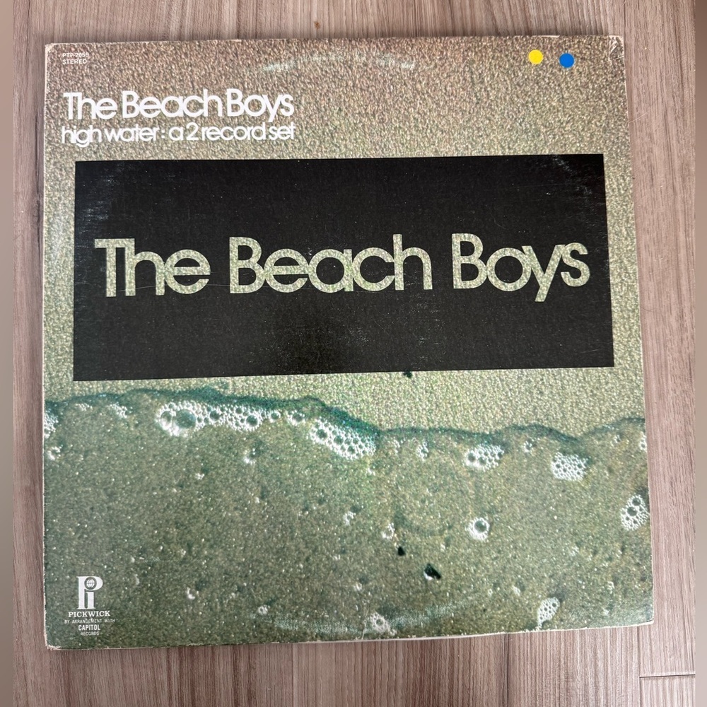 The Beach Boys 2-Disc Vinyl Record Set